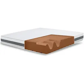 The White Stone Matratze 95x195 Basic, Antibakteriell, Anti-Milben, Anti-Allergie.| Höhe 25 cm | Italy