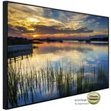 Papermoon Infrarotheizung Torheit Strand South Carolina, Matt-Effekt - bunt