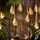 BUTLERS LED-Lichterkette Naturseil 4,6 m Braun