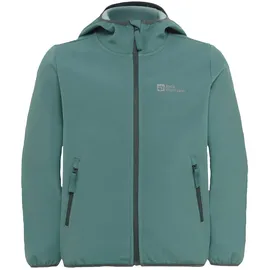 Jack Wolfskin Unisex Kinder Fourwinds Jacket Kids, Jade Green, 152