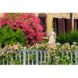 Fototapete PAPERMOON "GARTEN-BLUMEN BÄUME PFLANZEN STEINE WALD PERGOLA BLÜTEN", bunt, B:3,50m L:2,60m, Vlies, Tapeten