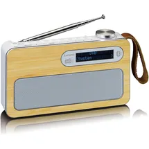 Lenco PDR-040 grau