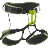 Edelrid Zack Gym Klettergurt Grün