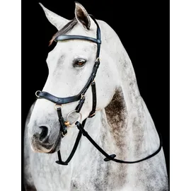 Horseware Micklem II Multi Halfter Schwarz
