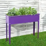 Floraworld Hochbeet Season 100 x 30 x 80 cm Lila