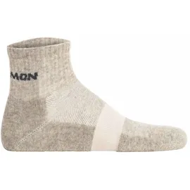 Salomon Kurzsocken »Socken EVASION ANKLE 2P 2er Pack grau