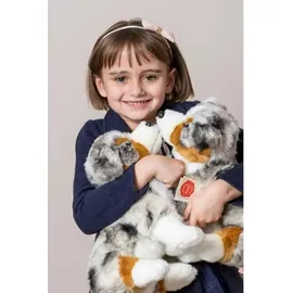 Teddy-Hermann Australian Shepherd Welpe