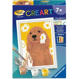 Ravensburger Malen nach Zahlen Cocker Spaniel Sunny 1 St.