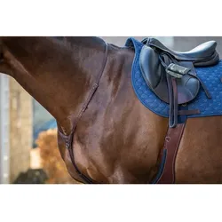 Dyon New English Collection Martingalriemen