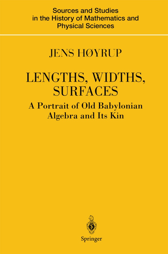 Lengths  Widths  Surfaces - Jens Høyrup  Kartoniert (TB)