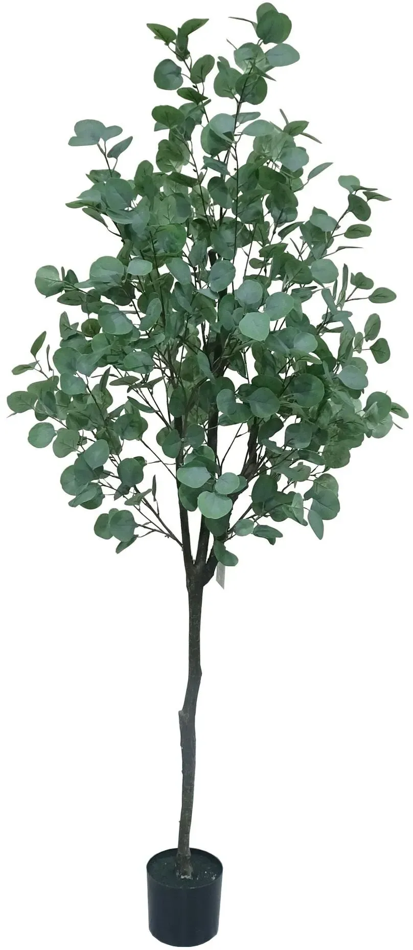 NeverLeafs Kunstpflanze Realistische Geldbaum-Blätter Natürlicher Look Pflegefrei (180 cm) – Geldbaum | NeverLeafs