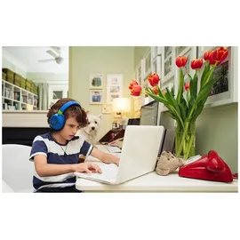 JBL JR460NC weiß