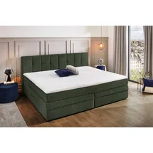 Jockenhöfer Casa Grande 240 x 215 cm Grün