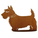 Hund Scotch Terrier 44x60cm Scottish Terrier Edelrost Rost Metall Gartendekoration + Original Pflegeanleitung von Steinfigurenwelt