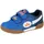 LICO Bernie V Blau/Orange 37