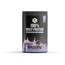 GO FITNESS 100% Whey Protein Blueberry Cheesecake