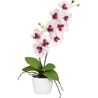 Kunstpflanze Kunstpflanze Orchidee rosa|weiß