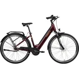 Saxonette Comfort Plus 5.0
