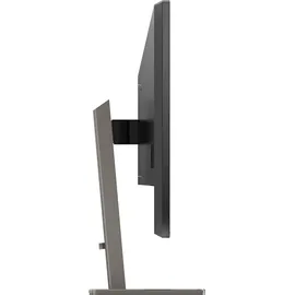 Philips P-Line 439P1/00 43"