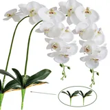 FagusHome 2 Stück künstliche Phalaenopsis Orchideen Blumen Weiß 105CM mit Künstliche Orchidee Blätter 2 Bündeln für Deko (2)