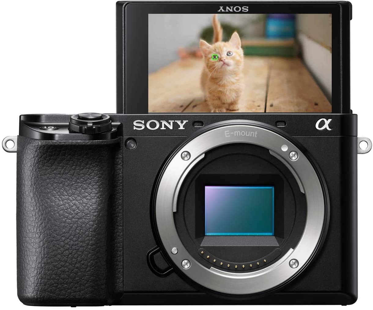 Sony Alpha 6100 | APS-C Spiegellose Kamera ( Schneller 0,02s-Autofokus, Autofokus mit Augenerkennung für Mensch und Tier, 4K-Filmaufnahmen und neigbares Display)