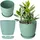 Kadax Matte Blumentopf 16 x 16 x 16 cm Minze