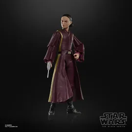 Hasbro Padmé Amidala Action-Figur 15 cm