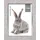 ZEP Doneck B Kunststoff grau 13x18 cm 2er Set