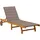 vidaXL Sonnenliege 200 x 60 x 30 cm Grau