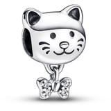 Pandora Charm 792255C01 Silber