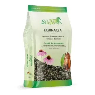 Stiefel Echinacea 500 g