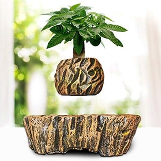 SANHOC Magnetic Levitation Luft Bonsai-Dekor-Kunst Topf Himmel Saftige Plantpot Geomantie-Verzierungen mit US/EU-Stecker des kreativen Geschenk Heißer A