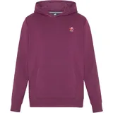 Polo Sylt Kapuzensweatshirt Multicolour  Grün XL
