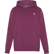 Polo Sylt Kapuzensweatshirt Multicolour  Grün XL