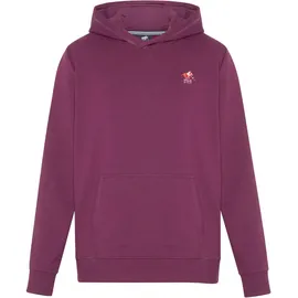 Polo Sylt Kapuzensweatshirt Multicolour  Grün XL