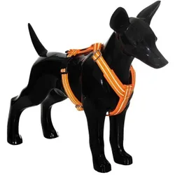 Paikka Easy Harness orange orange XS