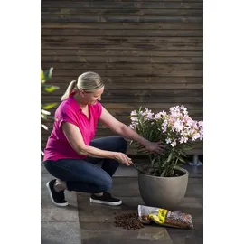 Floragard Tongranulat 50 l