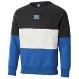 Hamburger SV HSV Sweatshirt Pullover ** Mischa ** (DE/NL/SE/PL, Alphanumerisch, XL, Regular, Regular, Blau-weiß-schwarz) - XL