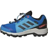 Adidas Terrex GORE-TEX Hiking Shoes blurus/gresix/turbo 33