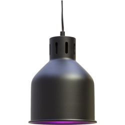 Venso, Pflanzenlampe, Saga (LED, 230 V)