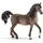 Schleich Horse Club Araber Hengst 13907