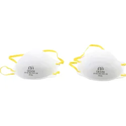 BGS Atemschutzmasken | 2-tlg.