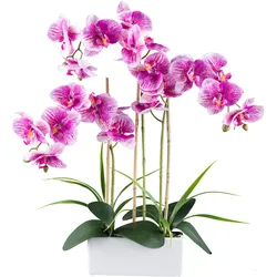 Kunstorchidee CREATIV GREEN "Orchidee Phalaenopsis", lila, H:58cm, Kunststoff, Kunstpflanzen, mit Graszweigen arrangiert