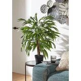 Creativ green Kunstpflanze Weeping-Ficus, Creativ green, Höhe 80 cm grün