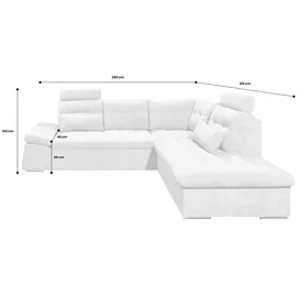 ed-lifestyle polstermöbel Nalo Ecksofa 260x219 cm Grün, Ausführung:Rechts - Grün