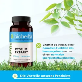 BIOHERBA R BIOHERBA Pygeum Extrakt Kapseln 100 St.