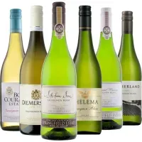 6er WeinPaket Sauvignon Blanc SAFARI