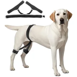 VEVOR Hüftbandage Hüfte Unterstützung Kniebandage Hundebeinstützen
