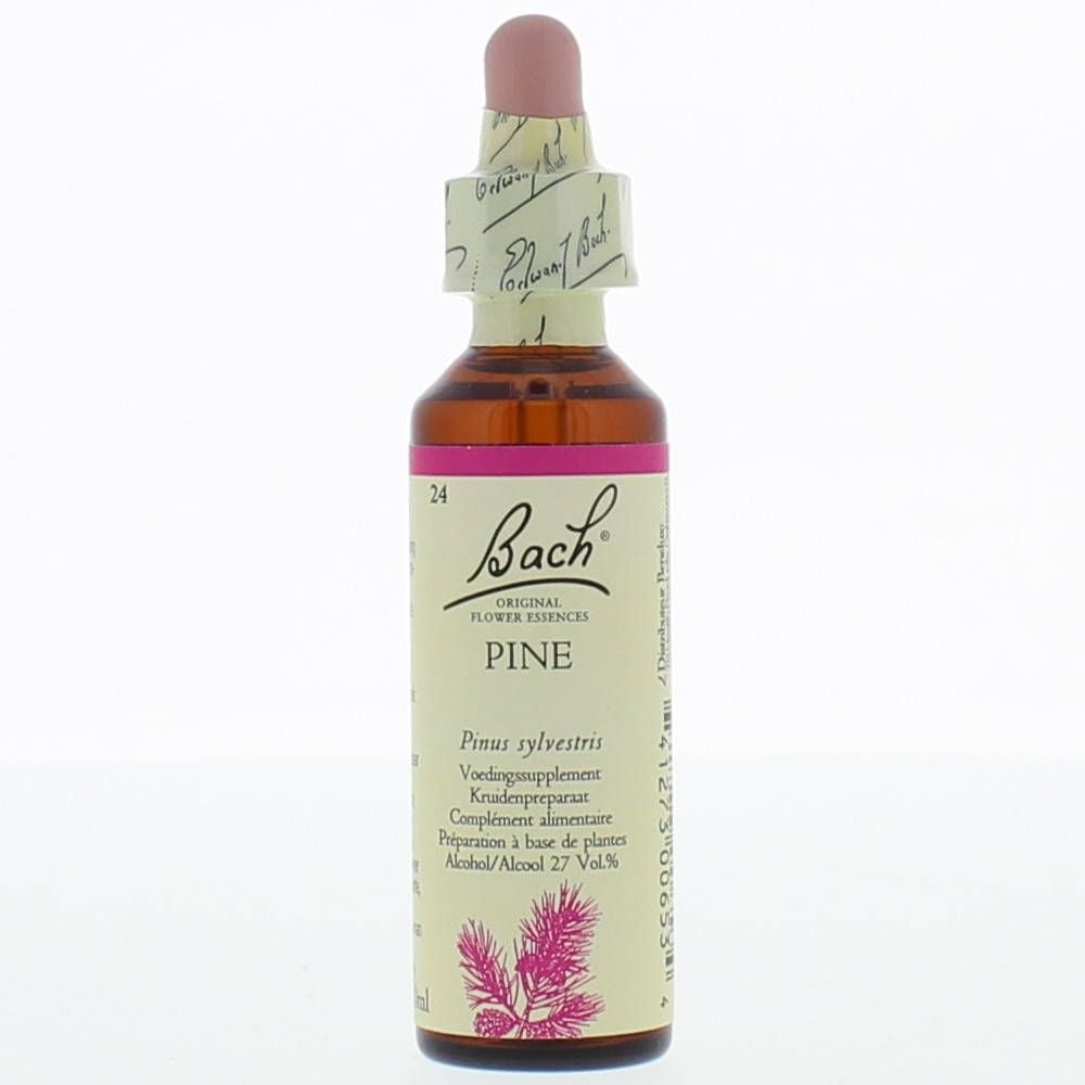 Bach®-Blüte Pine (Schottische Kiefer)