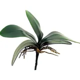 Künstliche Zimmerpflanze Kunstblätter Phalaenopsis Orchidee XIAOQIN mit Luftwurzeln, 25 cm Orchidee (Orchidee phalaenopsis), artplants grün